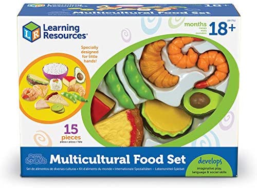 new sprouts multicultural food set