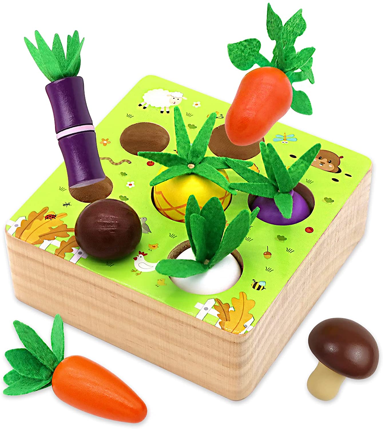 carrot sorting toy