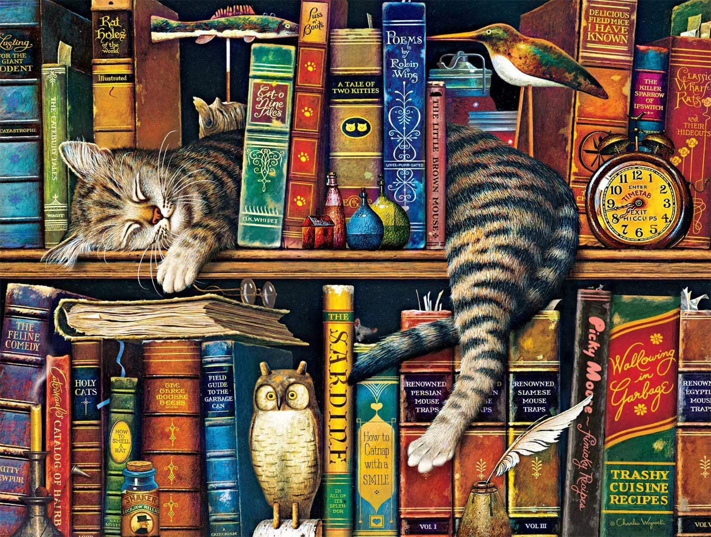 cat on bookshelf puzzle