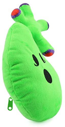 plush organs gallbladder