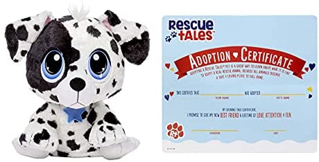 rescue tales adoptable pet dalmatian