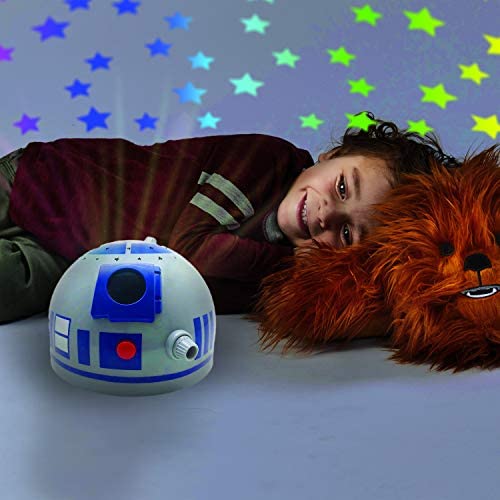 r2d2 pillow pet