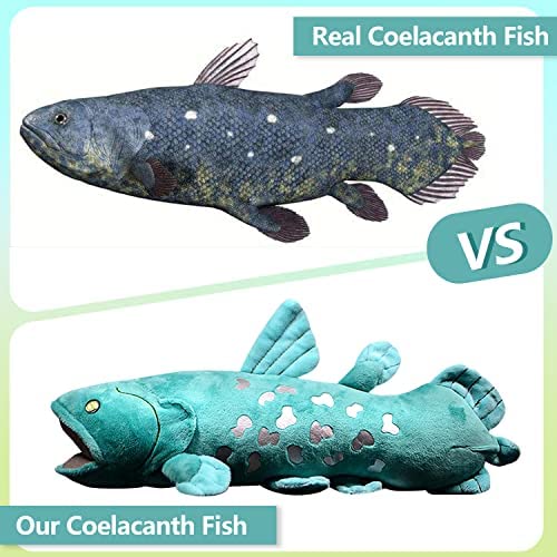 Coelacanth Fish Soft Stuffed Plush Toy