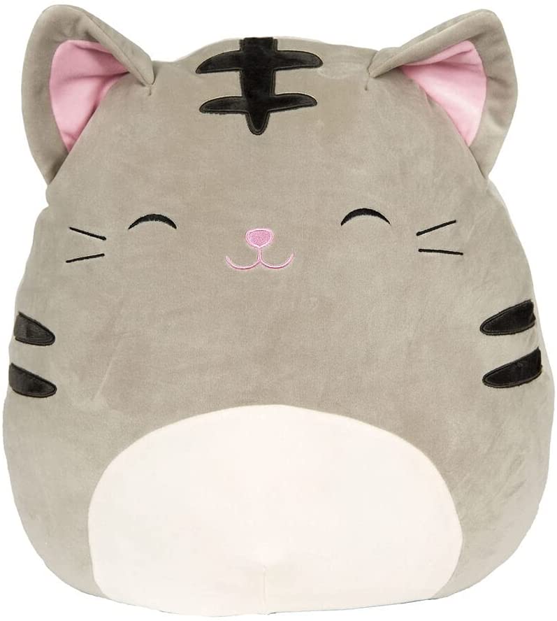 tally the tabby cat squishmallow