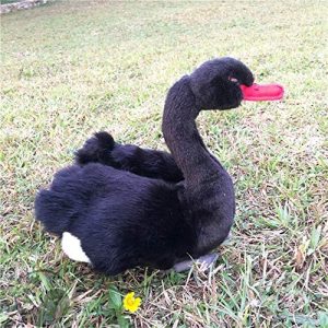 black swan plush