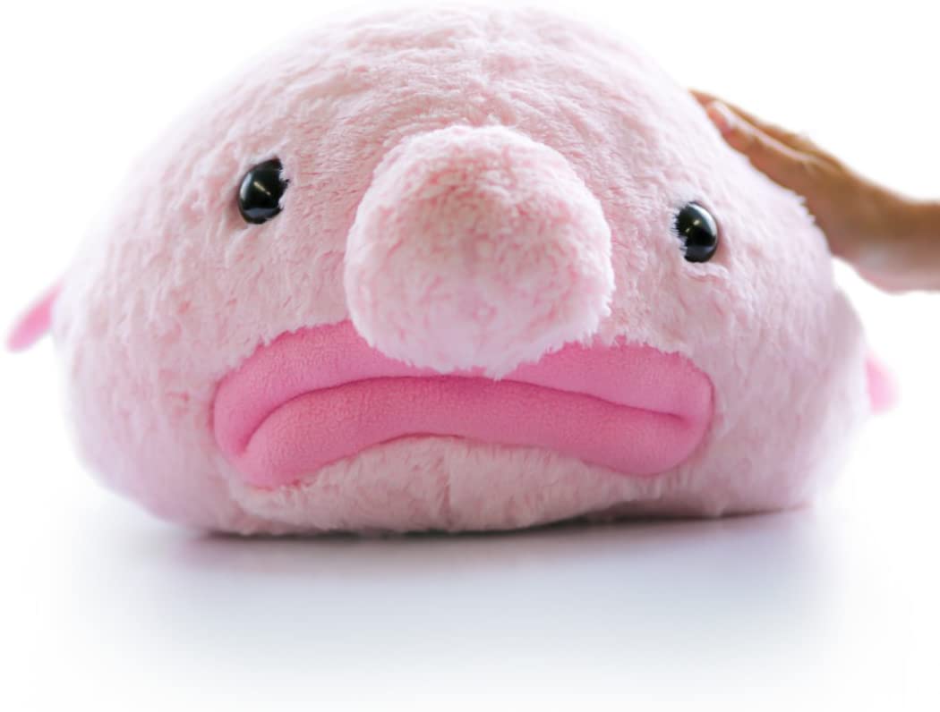 blob fish stuffed animal