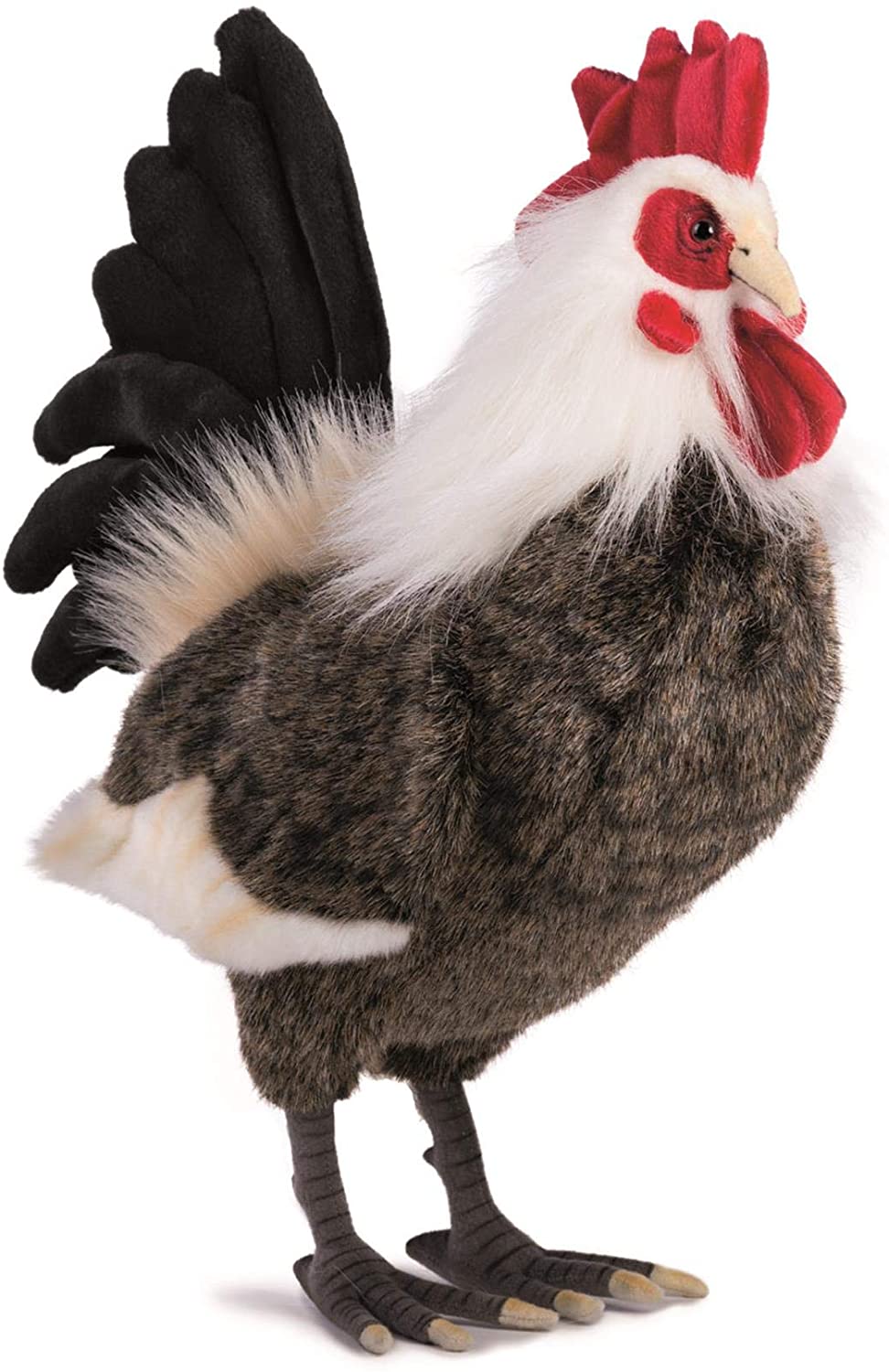 hansa rooster