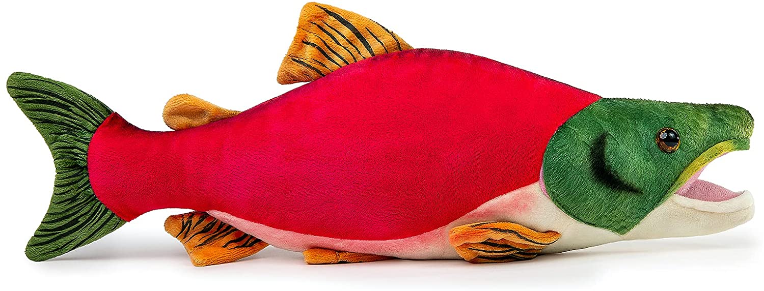 Sockeye Salmon, Spawning Color, Realistic, Lifelike, Stuffed, Soft, Toy,  Educational, Animal, Kids, Gift, Fish, Very Nice Plush Animal 10 F3005 BB61