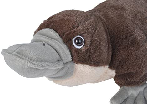 giant platypus stuffed animal