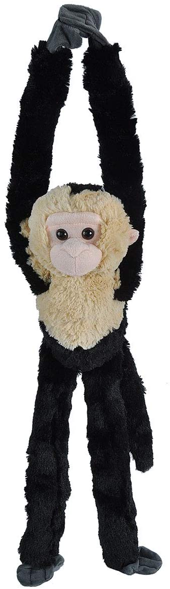 capuchin monkey plush