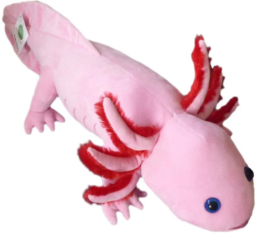 axolotl webkinz plush