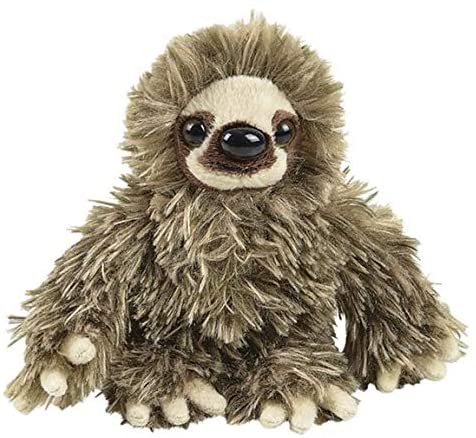 fluffy sloth