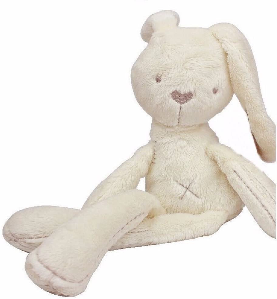 teddy natural rabbit