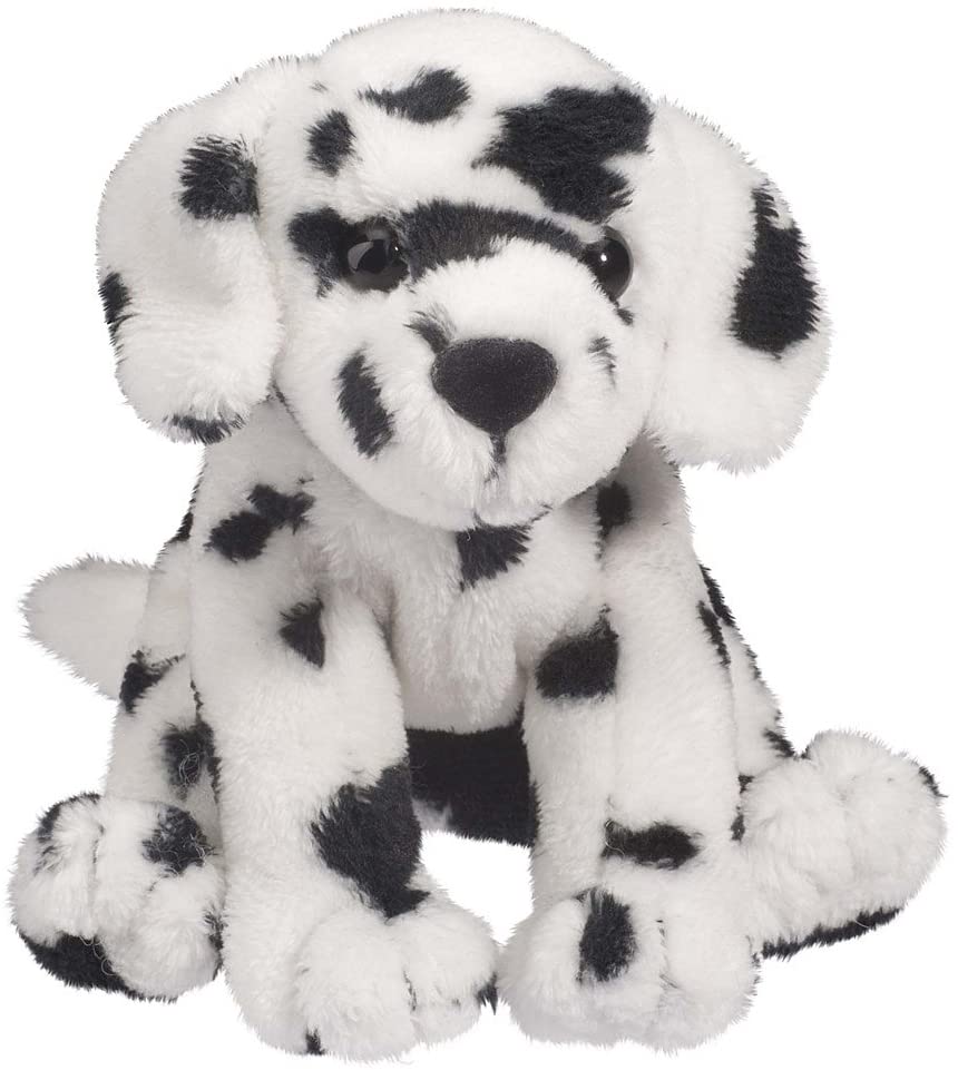 dalmatian puppy teddy