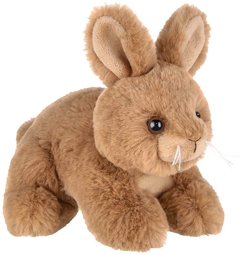 brown stuffed bunny rabbits