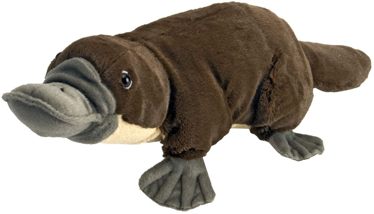 platypus plush toy