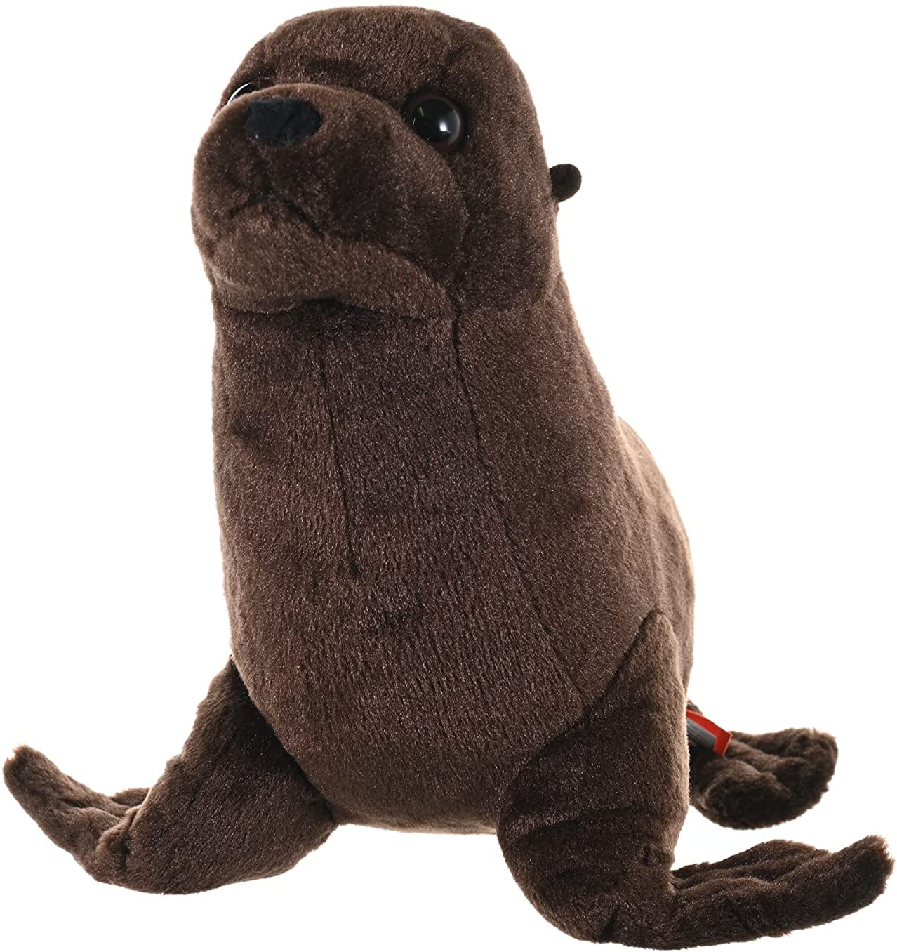 sea lion plush toy