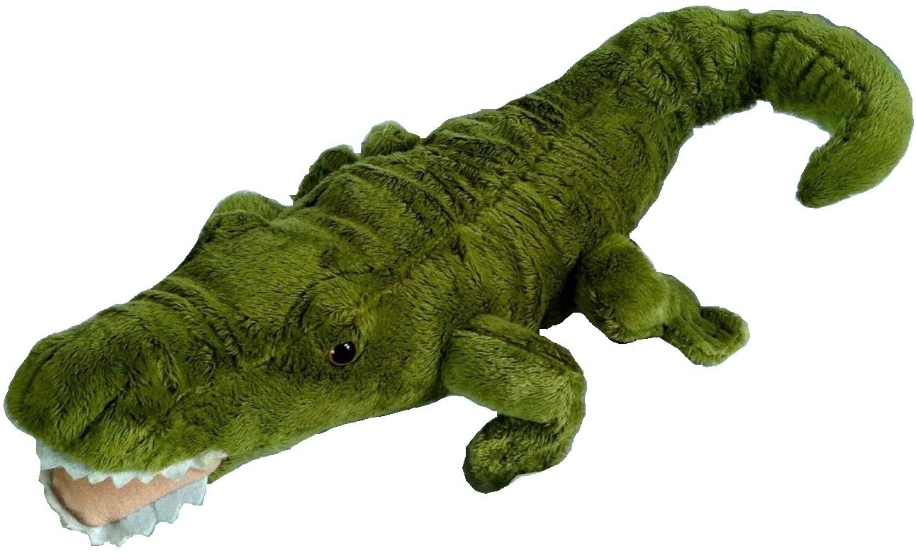 wishpets alligator