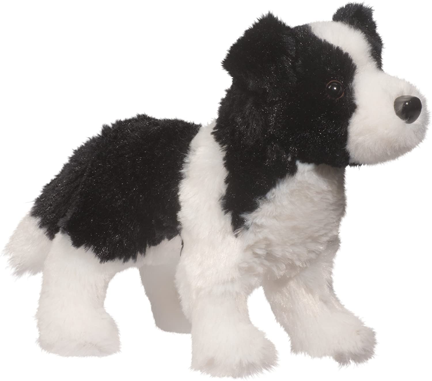 collie teddy