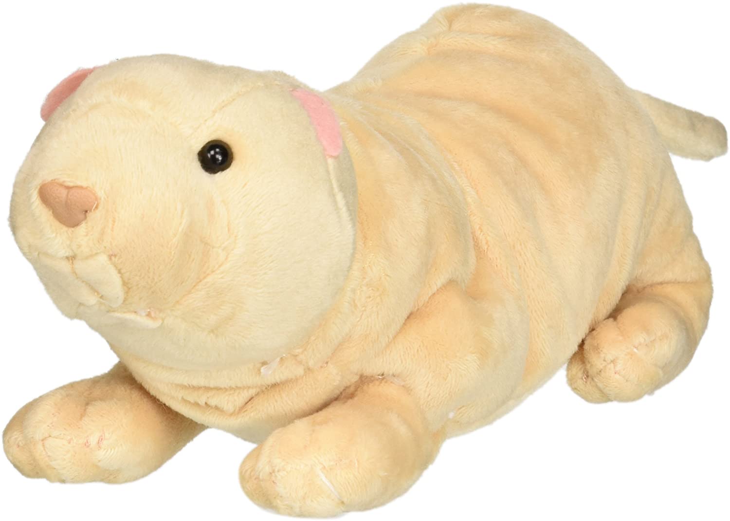 turn pet into stuffed animal